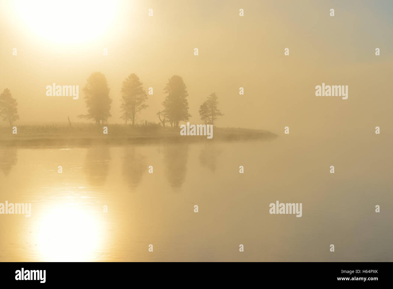 Nebel über dem Fluss in Hayden Valley des Yellowstone National Park im Sommer Stockfoto