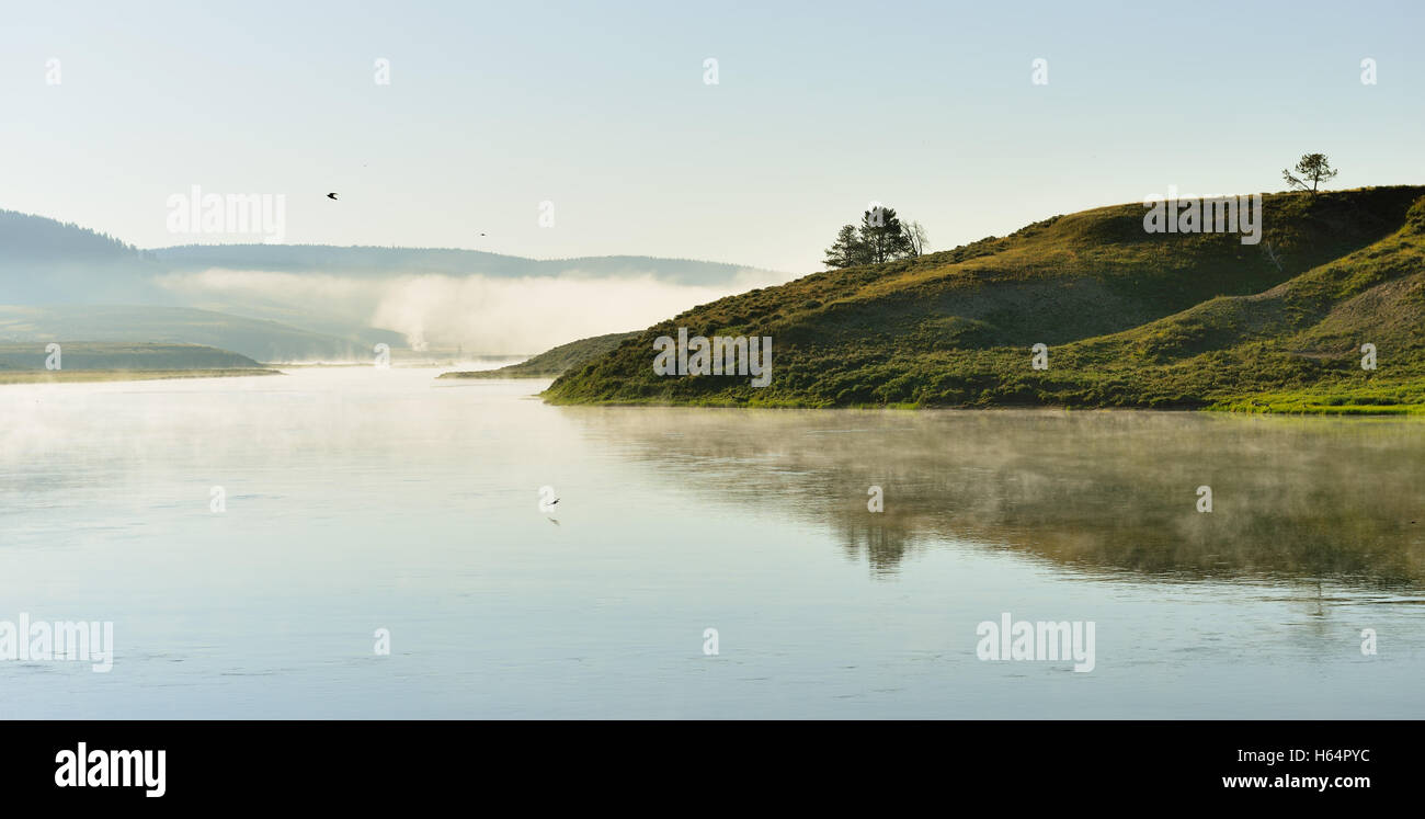 Vögel fliegen in den Nebel über dem Fluss in Hayden Valley des Yellowstone National Park im Sommer Stockfoto