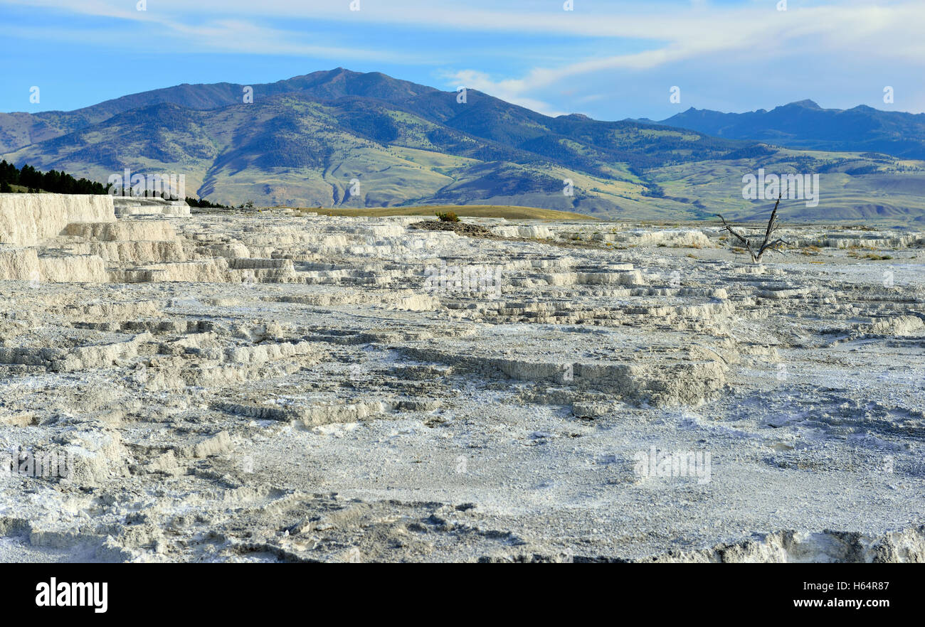 Plateau in Mammoth Hot Springs Gebiet des Yellowstone-Nationalpark, Wyoming Stockfoto