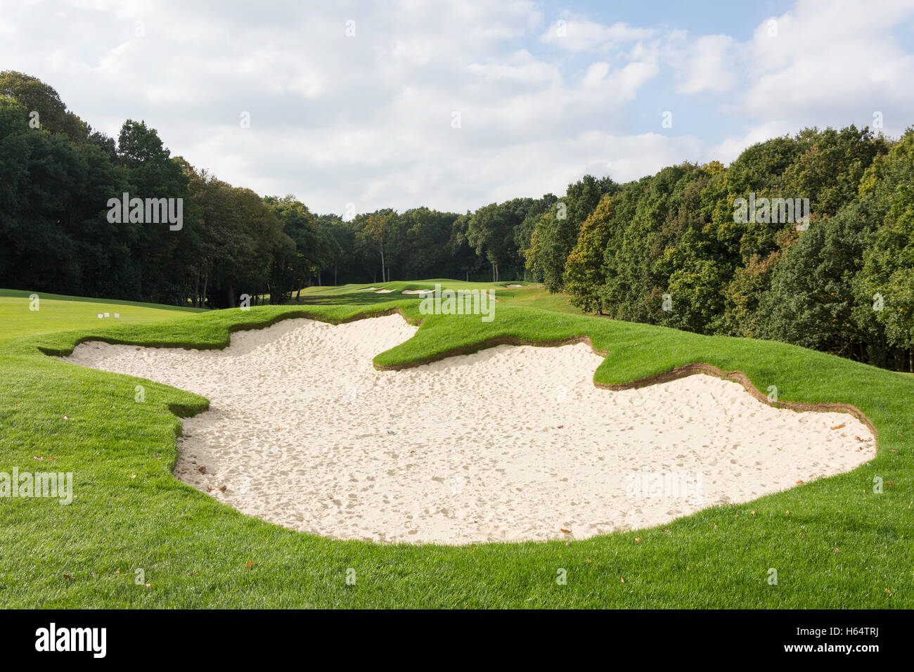 Golf Fairway und Bunkern auf der Wentworth Golf Club & Kurort, Virginia Water, Surrey, England, Vereinigtes Königreich Stockfoto