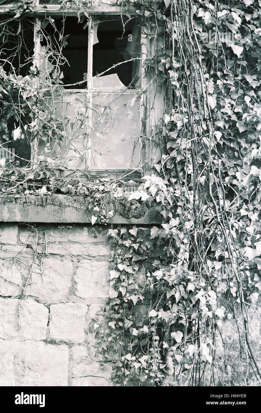 Verlassene Kapelle in Wales UK überwachsen und Links Industriebrachen mit Kodak BW 400 schwarz/weiß Film fotografiert. Stockfoto