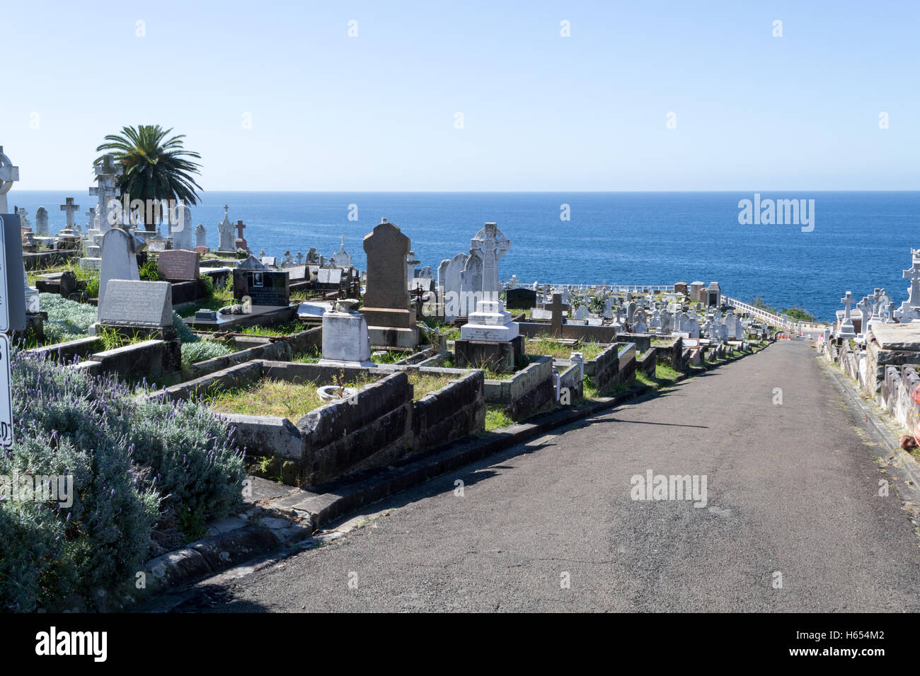 Waverley Cemetery In Bondi Coogee Walk Sydney Stockfotografie Alamy