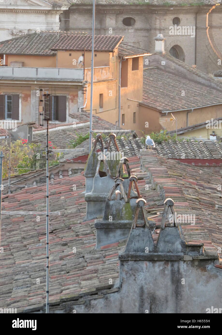 Blick auf Dach vom Piazza Napoleone in Rom Stockfoto