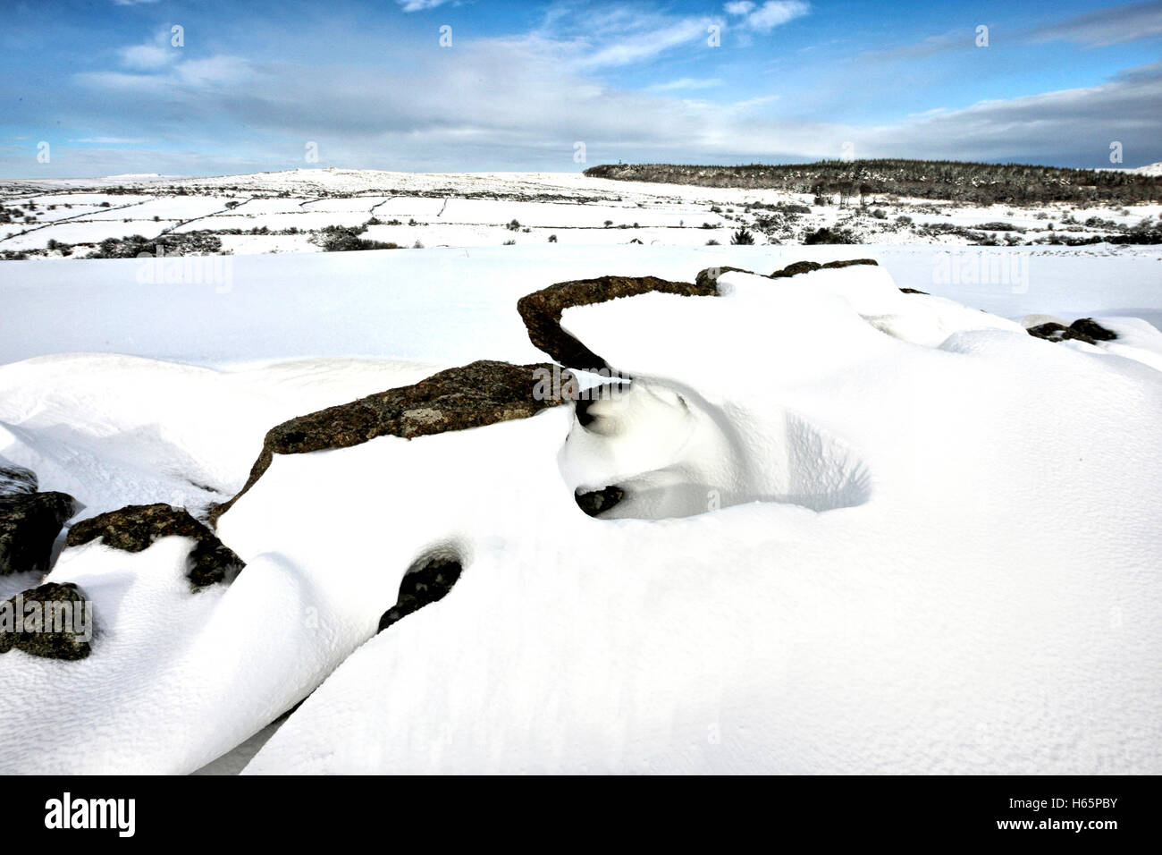 Starkem Schneefall auf Dartmoor Stockfoto