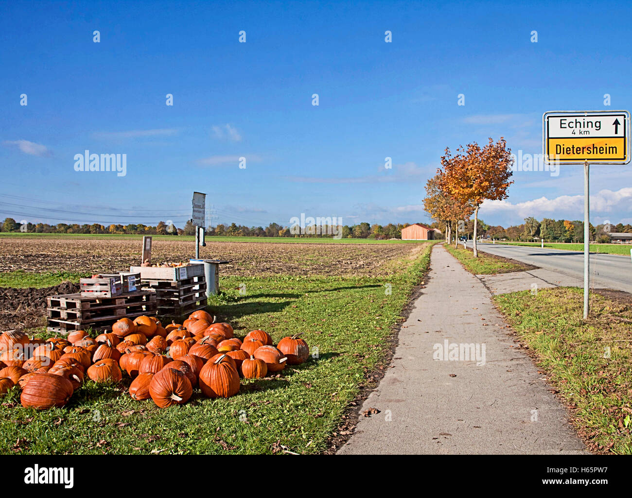 Herbst in Bayern, Halloween-Zeit: Kürbisse am Straßenrand zu holen und kaufen, indem Sie sich, das Geld auf dem Feld Stockfoto