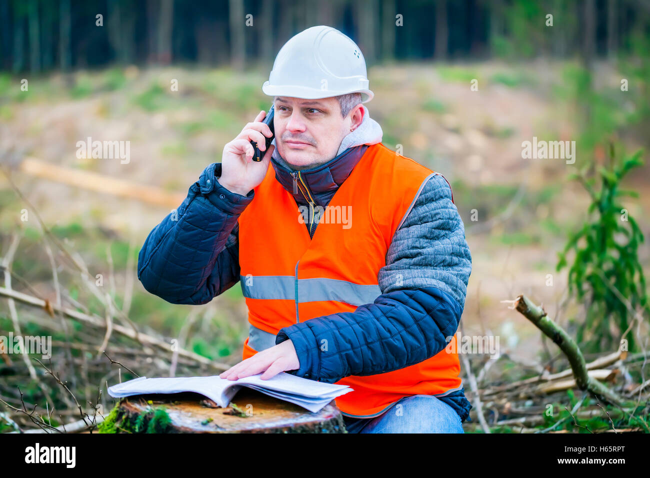 Forstingenieur reden über ein Handy im Wald Stockfoto