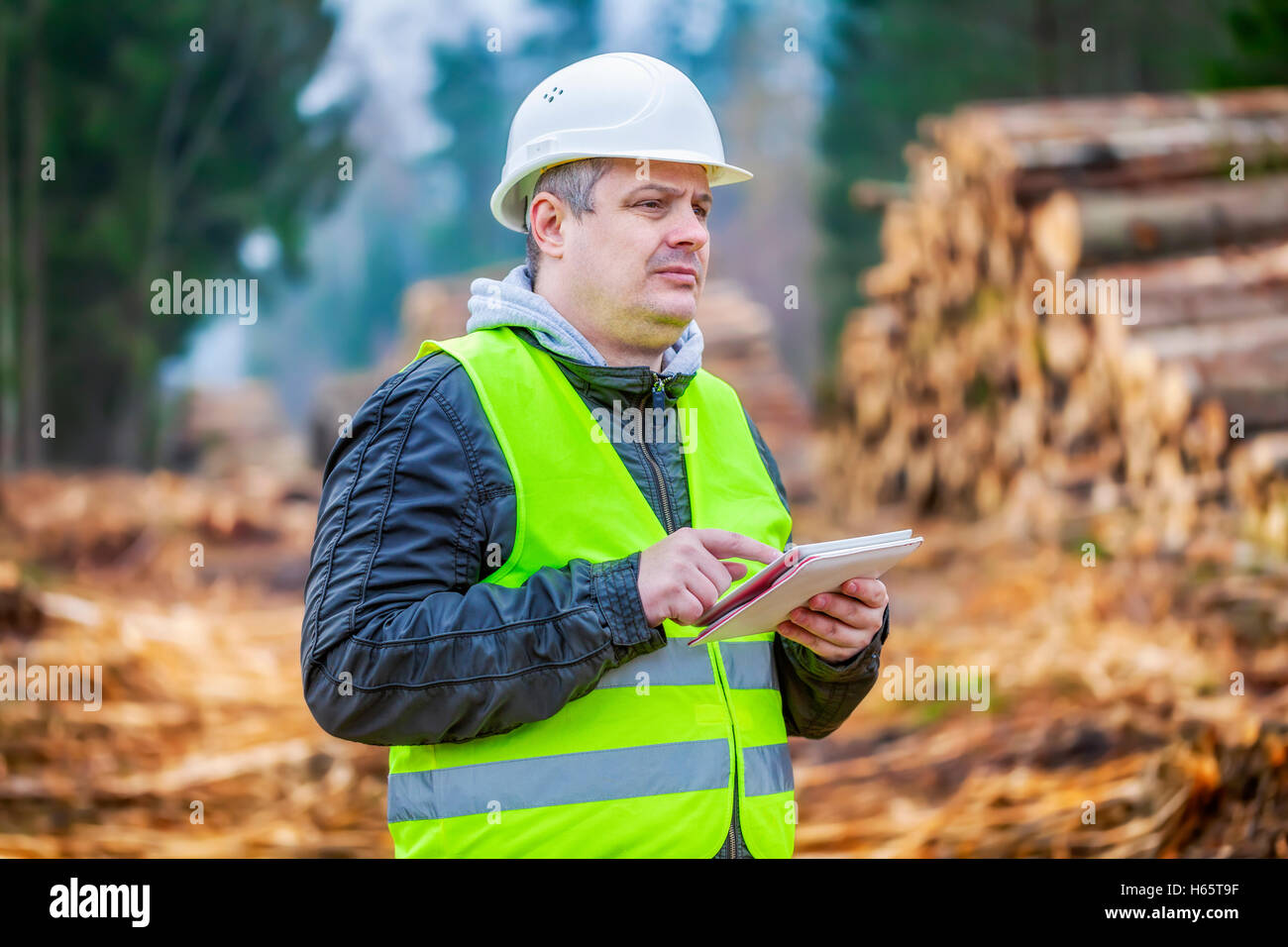 Forstingenieur mit Tablet-PC in der Nähe von Haufen von Protokollen im Wald Stockfoto