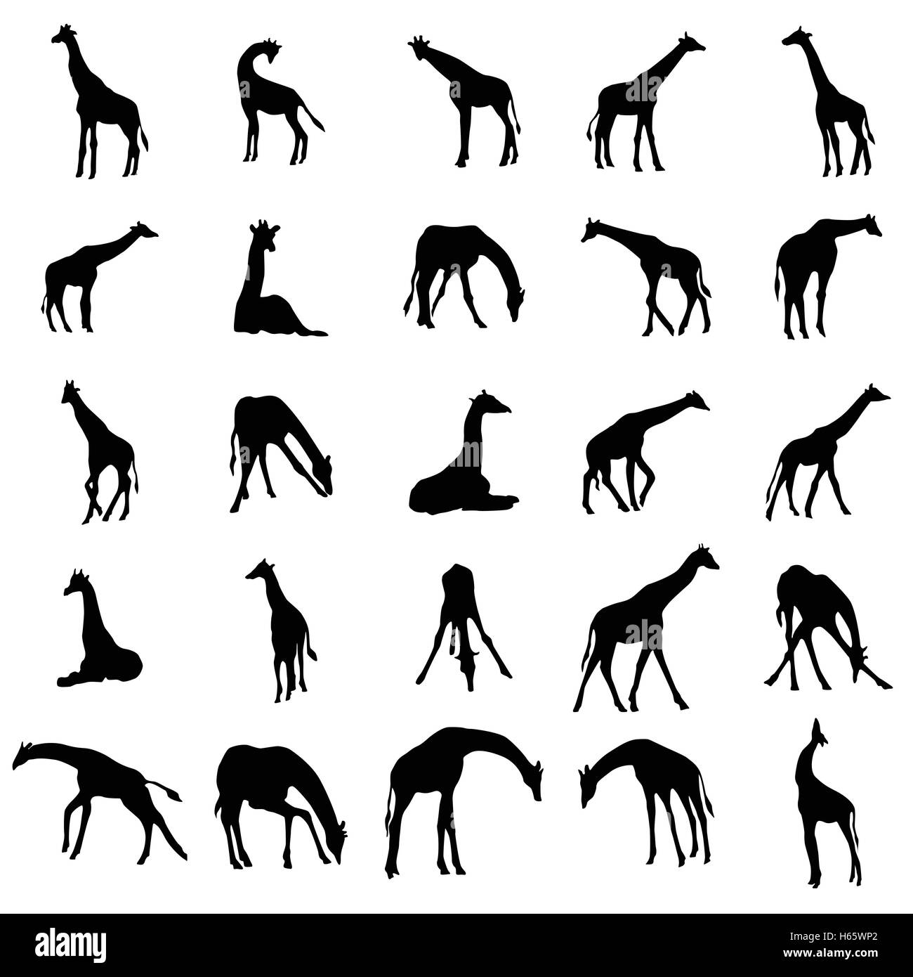 Giraffe Silhouetten eingestellt Stock Vektor