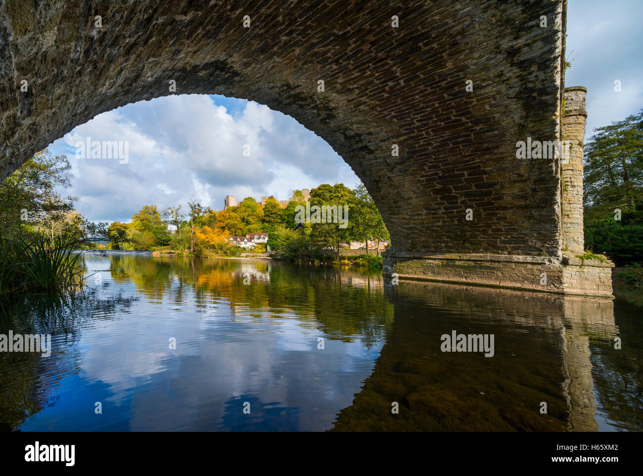 Herbst Reflexion in den Fluß Teme Ludlow durch einen Bogen Dinham Brücke, Shropshire, England, UK. Stockfoto
