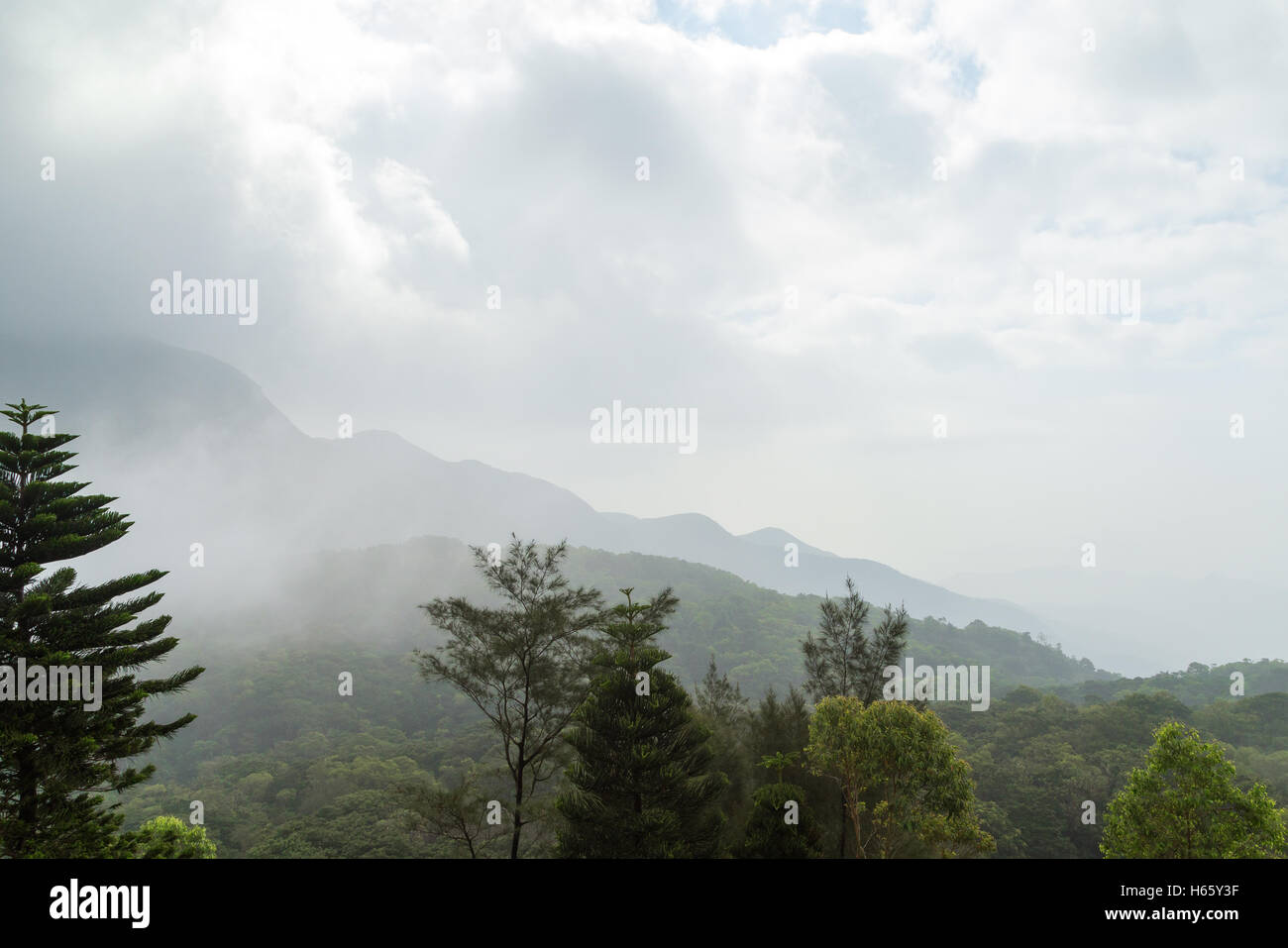 Trübe Sicht auf üppigen Wald und Berg auf Lantau Island in Hongkong, China. Kopieren Sie Raum. Stockfoto