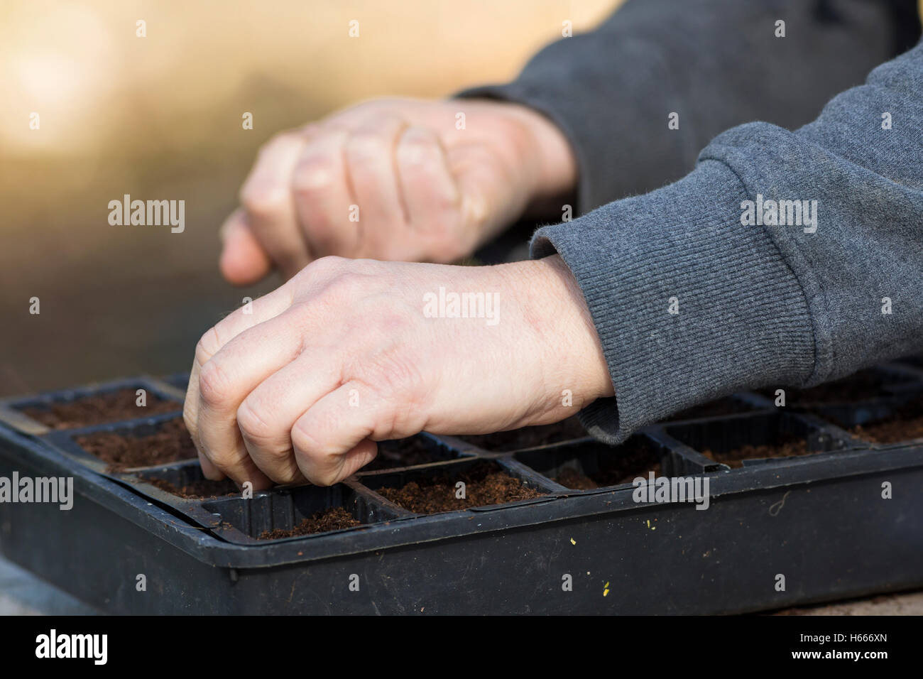 Gärtner säen Stockfoto