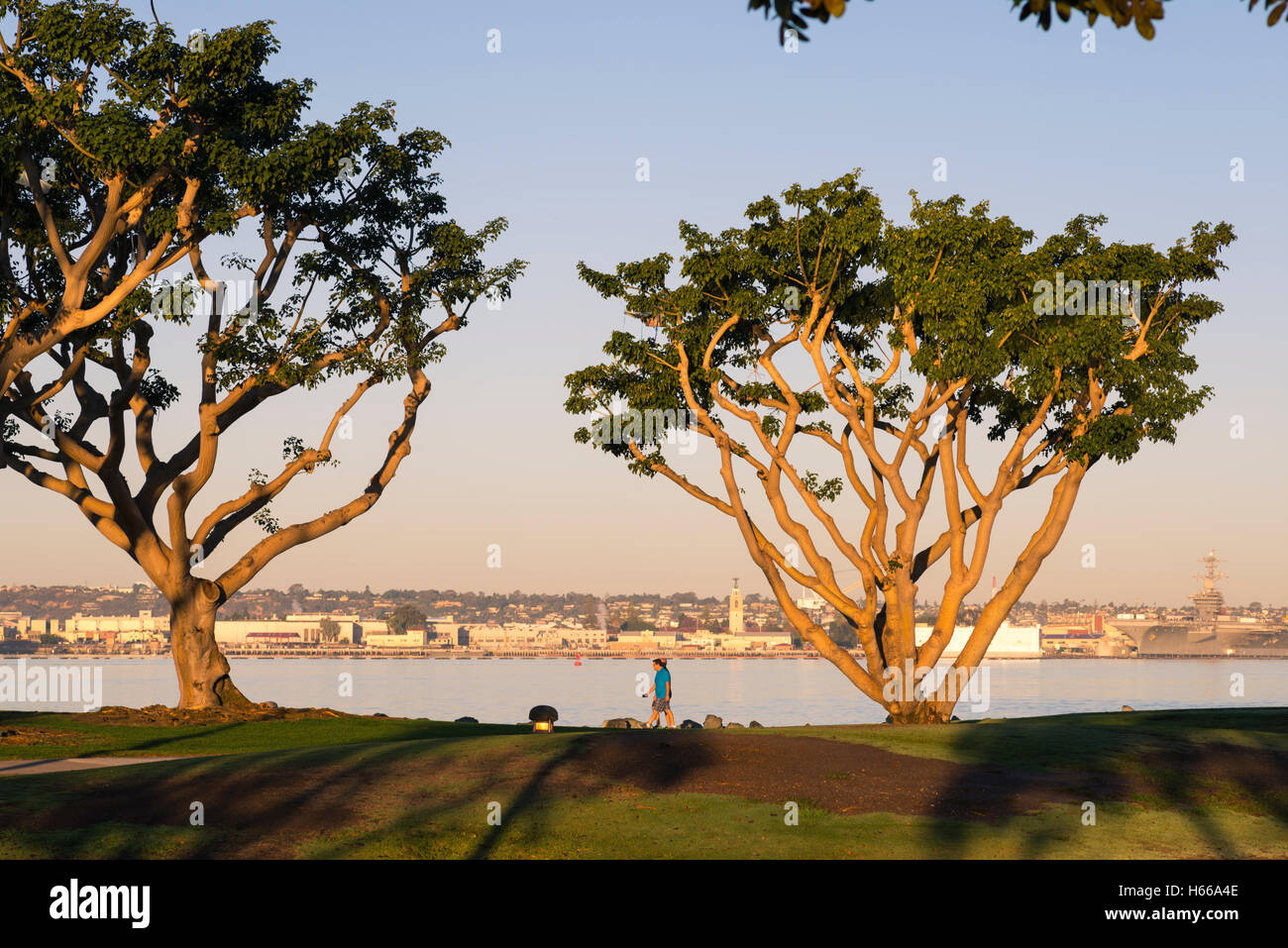Embarcadero Marina Park in den frühen Morgenstunden. San Diego, Kalifornien, USA. Stockfoto