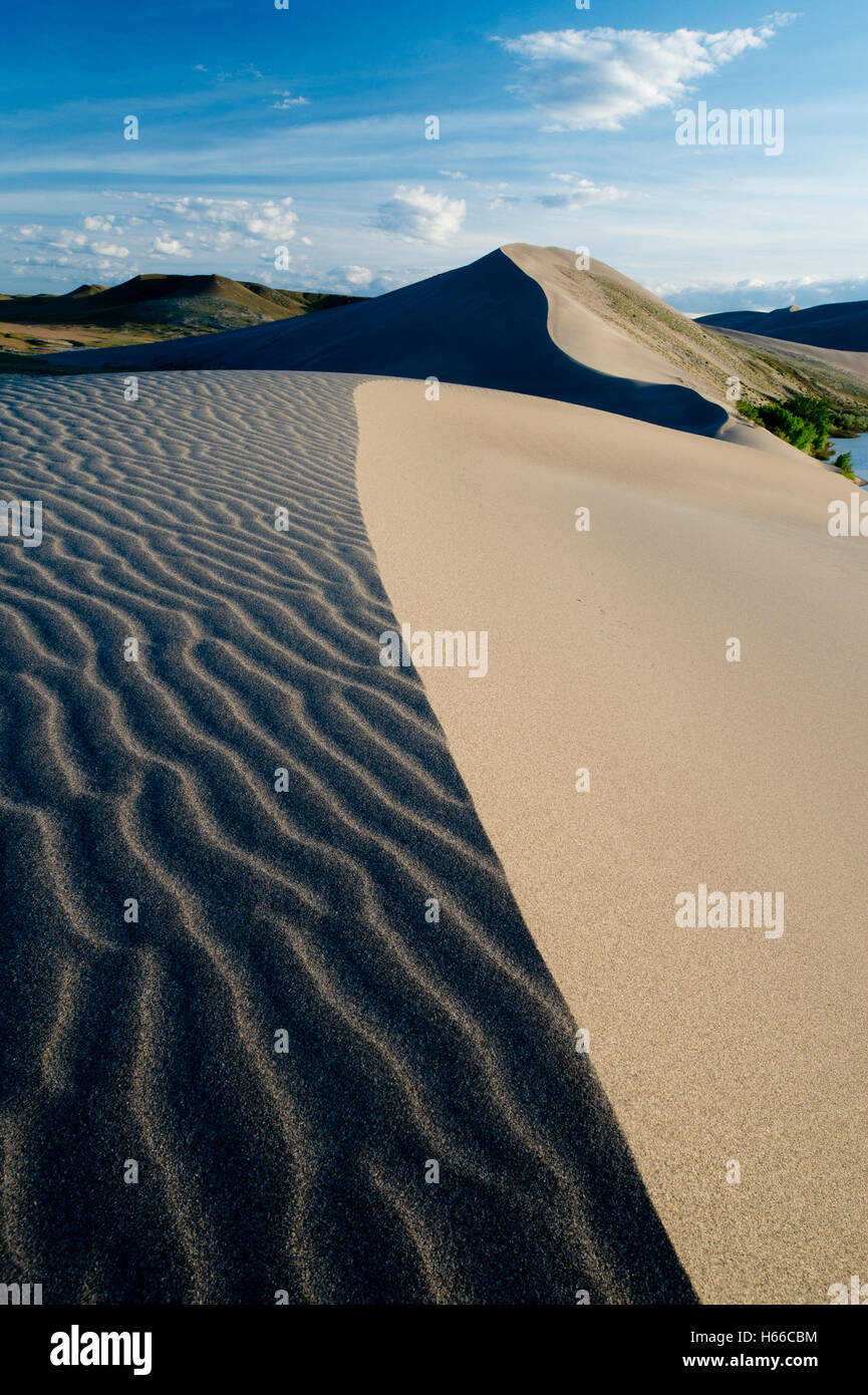 Bruneau Dunes State Park in Idaho Stockfoto