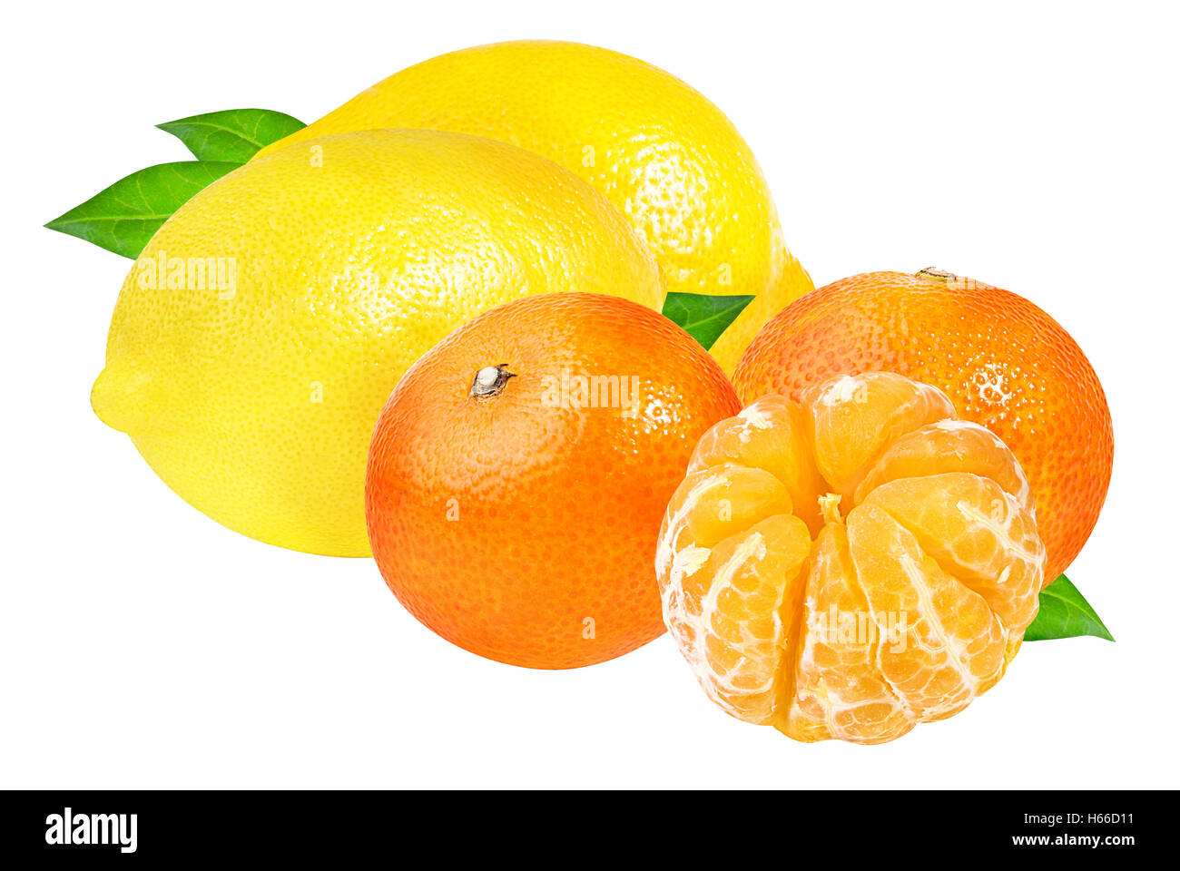 Zitronen und Mandarinen auf einem weißen Hintergrund. Stockfoto