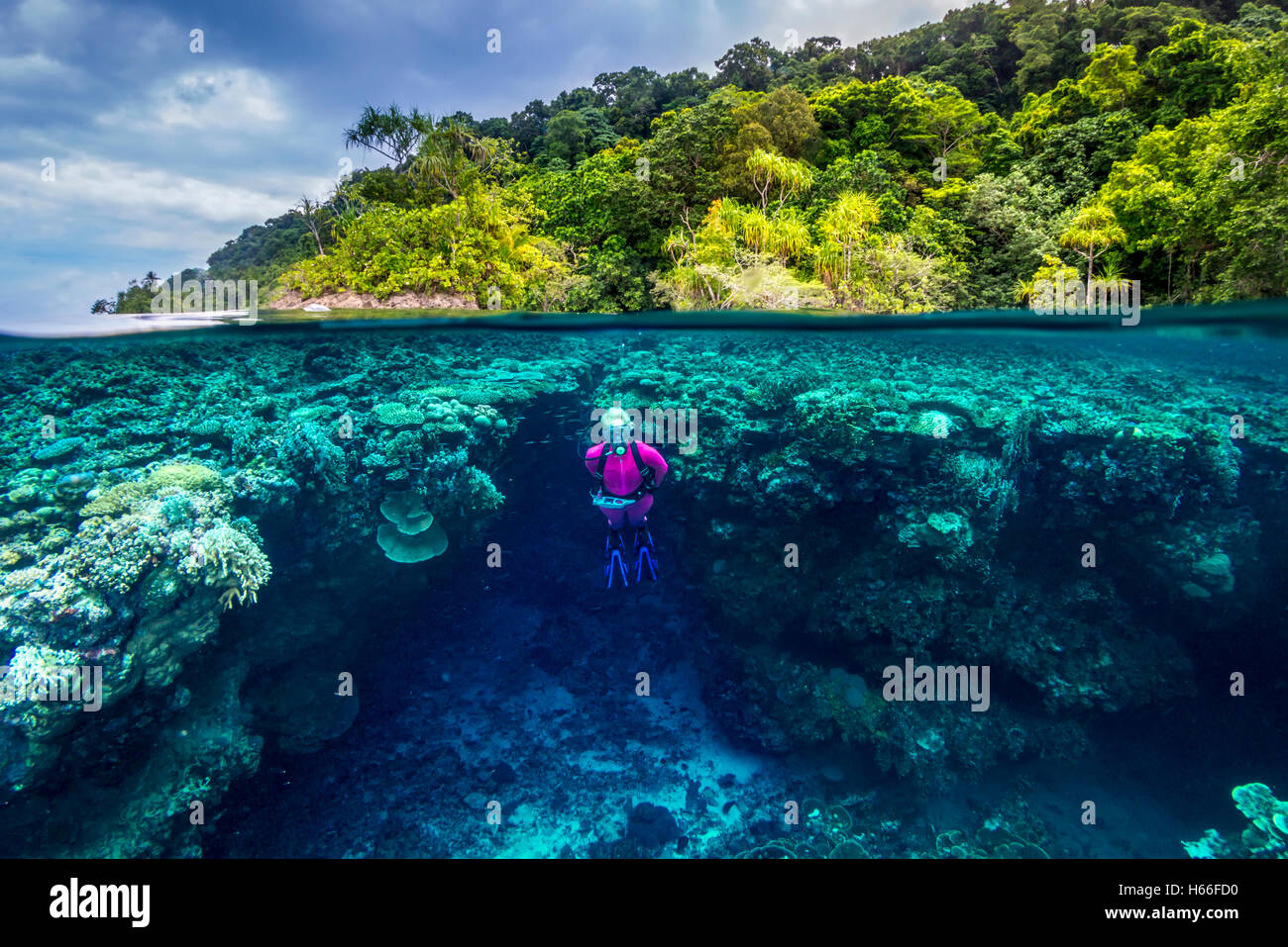 Teilen Sie Bild Schuss von blonden weiblichen Taucher erkunden Korallenriff mit tropischen Insel im Hintergrund Stockfoto