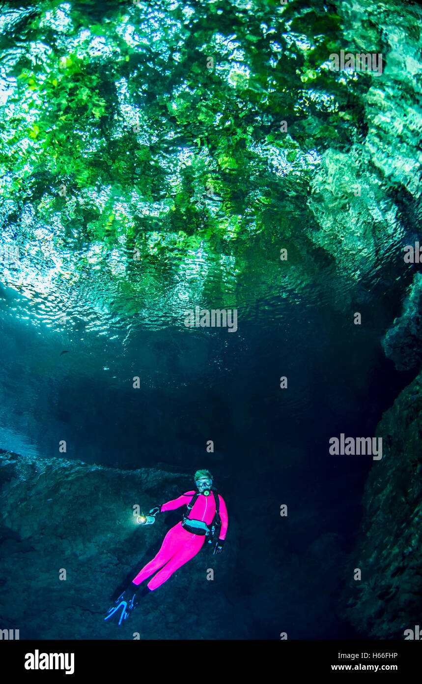 Scuba Diver erforscht unter Dschungel Baldachin Stockfoto