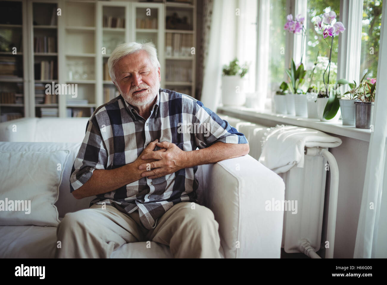 Ältere Mann leidet unter Schmerzen in der Brust Stockfoto