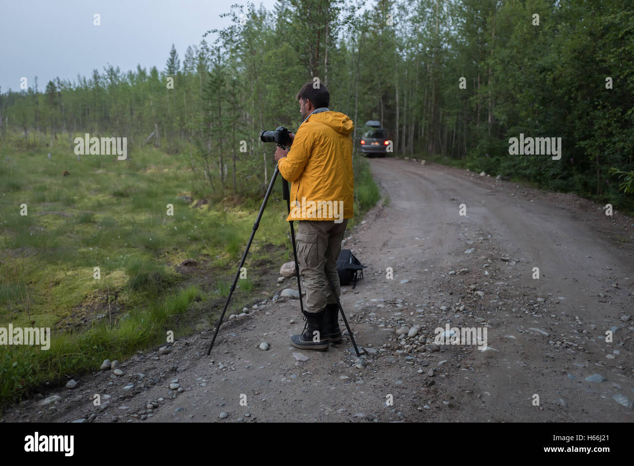 Fotograf macht Fotos auf der Forststraße Stockfoto