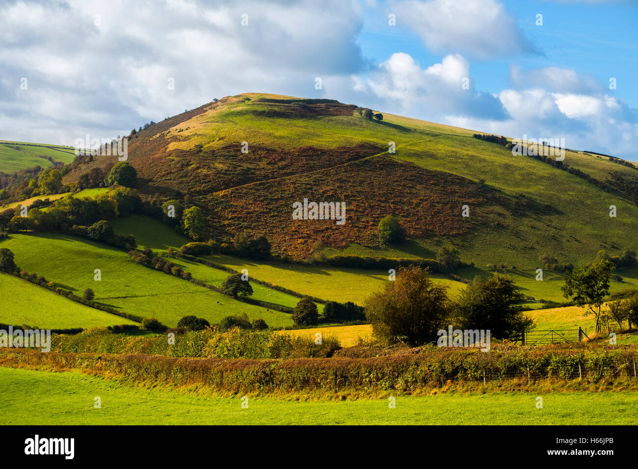 Herbstsonne auf Caer Caradoc Eisenzeit Wallburg in der Nähe von Kapelle Rasen, Clun, Shropshire, England, UK Stockfoto