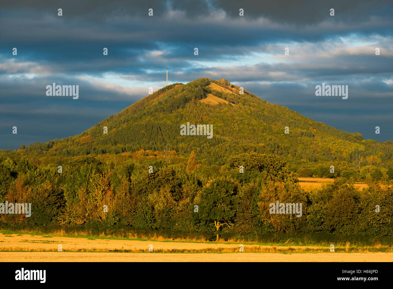 Spätherbst Licht auf dem Hügel Wrekin in Shropshire, England, UK Stockfoto