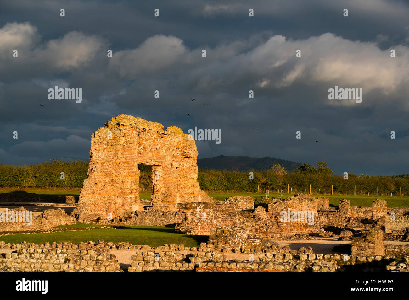 Dramatische Herbst Licht auf den Resten der römischen Stadt Wroxeter (oder Viroconium), in der Nähe von Shrewsbury, Shropshire, England, UK Stockfoto