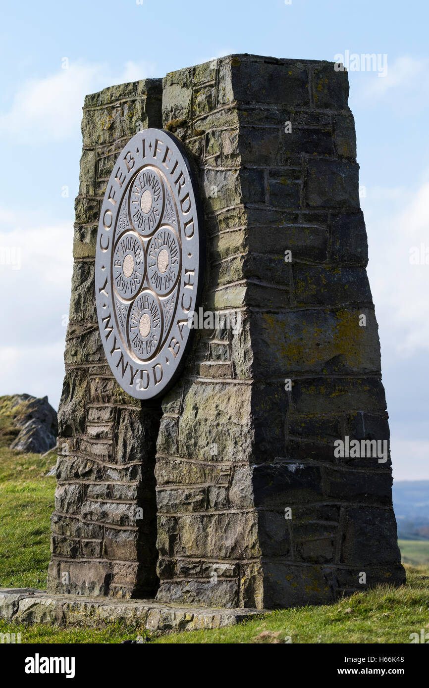 Das Denkmal Mynydd Bach oberhalb von Llyn Eidwenn in mid Wales Stockfoto