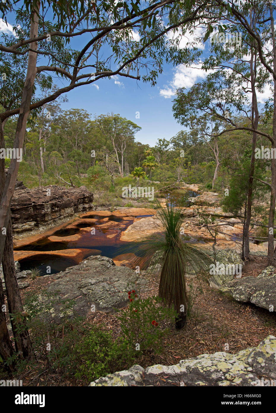Aust Landschaft, geprägt von erodierten Platten aus rotem Sandsteinfelsen & Wasser der ruhigen Bach grenzt an Eukalyptus Wald & Felsbrocken Stockfoto