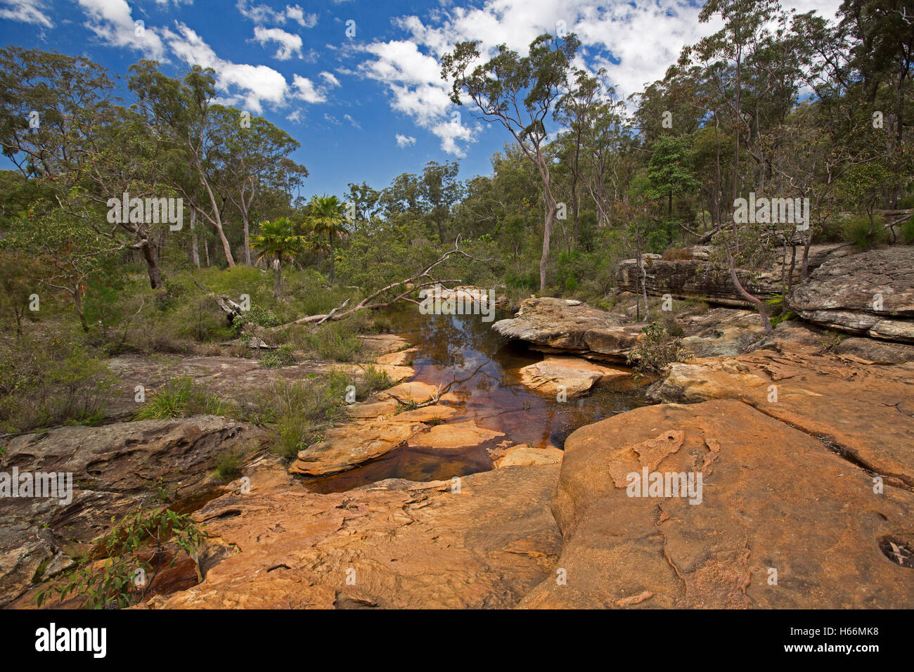 Aust Landschaft, geprägt von erodierten Platten aus rotem Sandsteinfelsen & Wasser der ruhigen Bach grenzt an Eukalyptus Wald & Felsbrocken Stockfoto