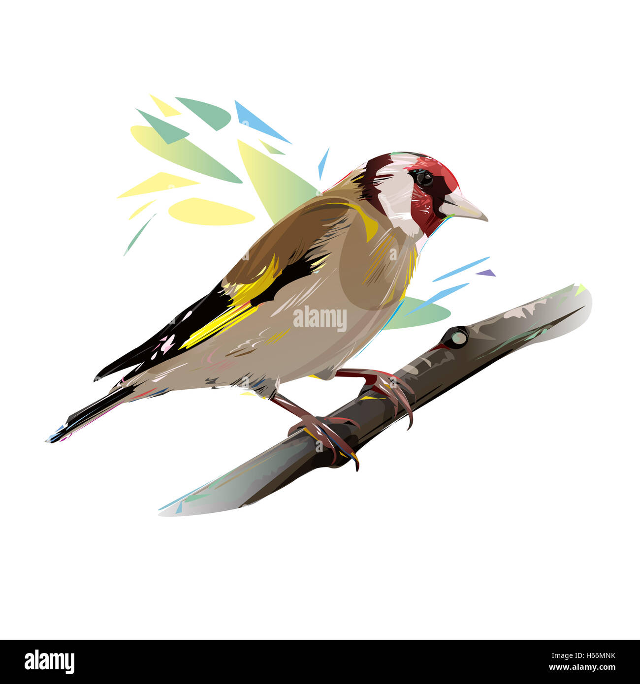 Stieglitz Vogel Stockfoto