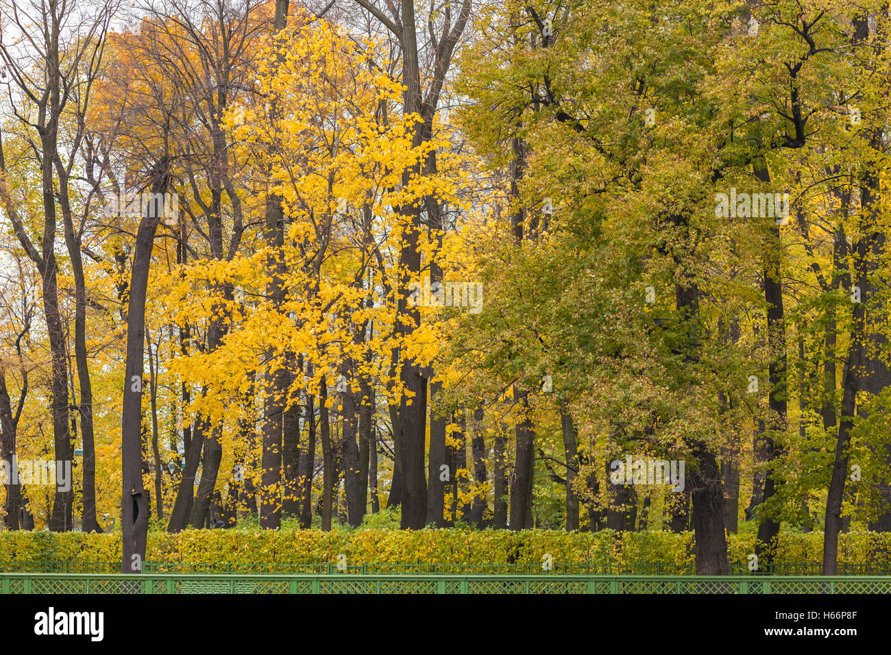 Herbstliche Ansicht von Summer Garden von St. Petersburg Stockfoto