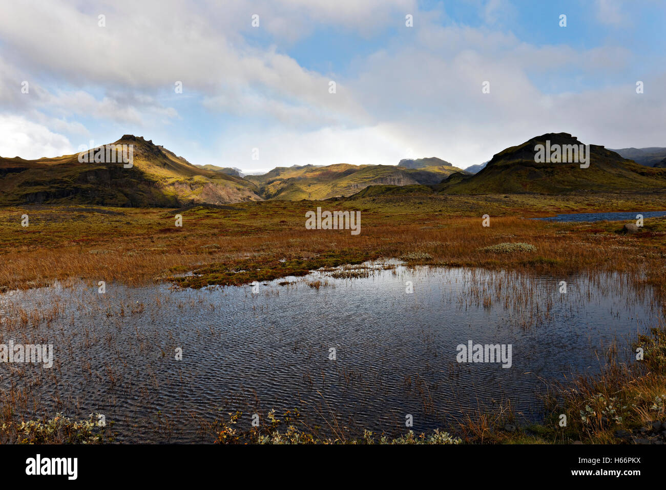 Vulkanlandschaft, Süd-West Island, Nordatlantik, Europa Stockfoto