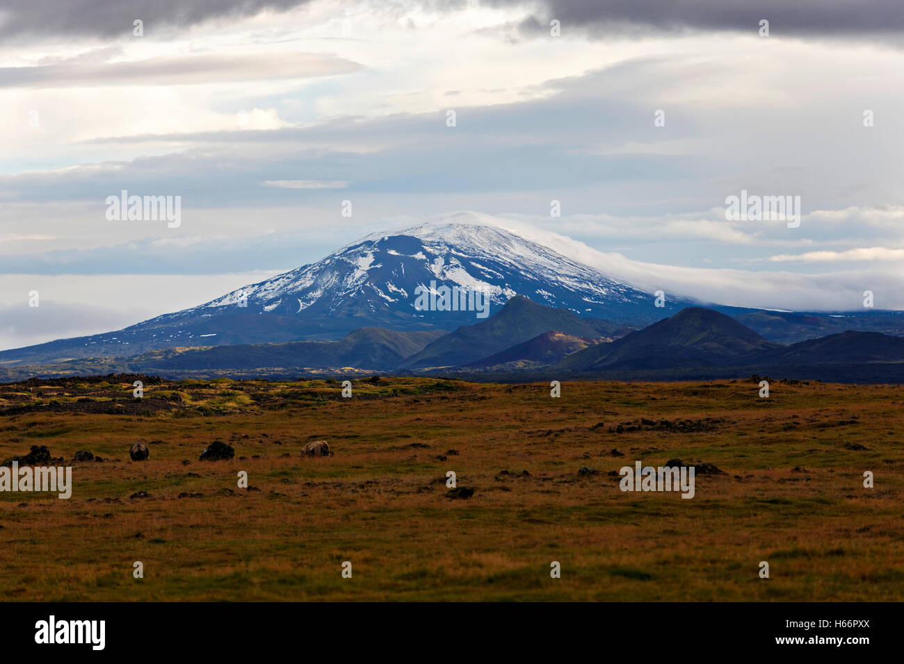 Hecla der aktivste Vulkan in Island, Süd-West Island, Nordatlantik, Europa Stockfoto