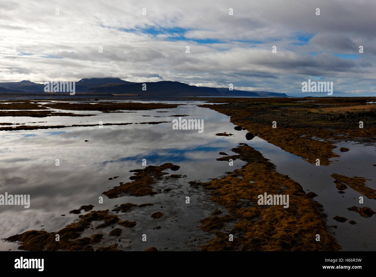 Fjord-Landschaft, Westisland, Nordatlantik, Europa Stockfoto