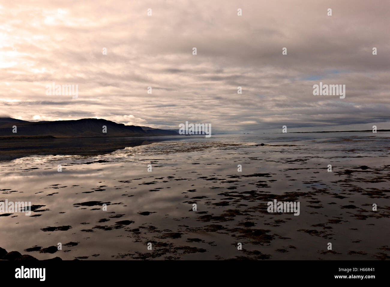 Fjord-Landschaft, Westisland, Nordatlantik, Europa Stockfoto