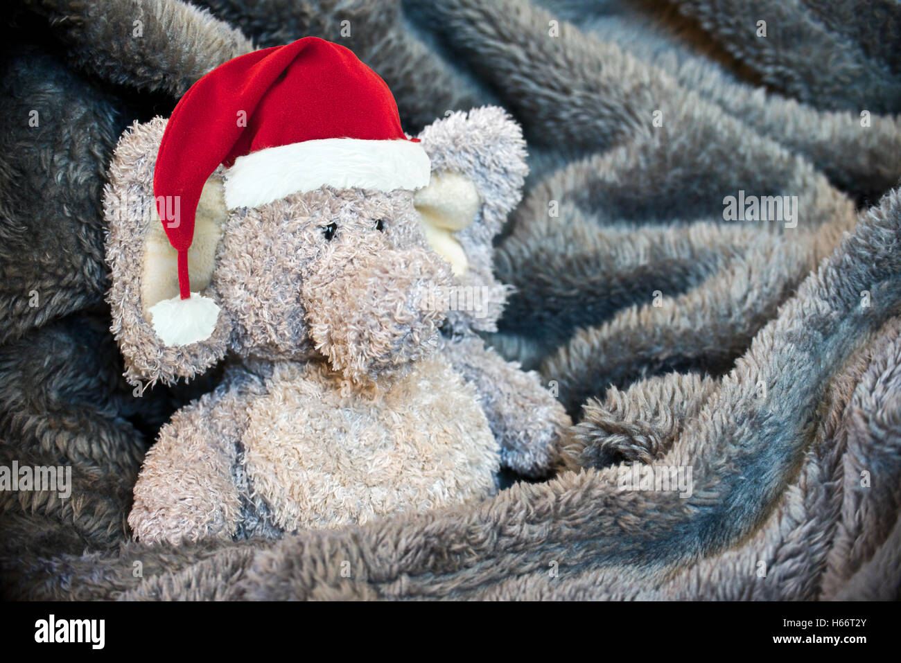 Flauschige Stofftier mit einer Weihnachtsmütze in einer weichen Decke Stockfoto