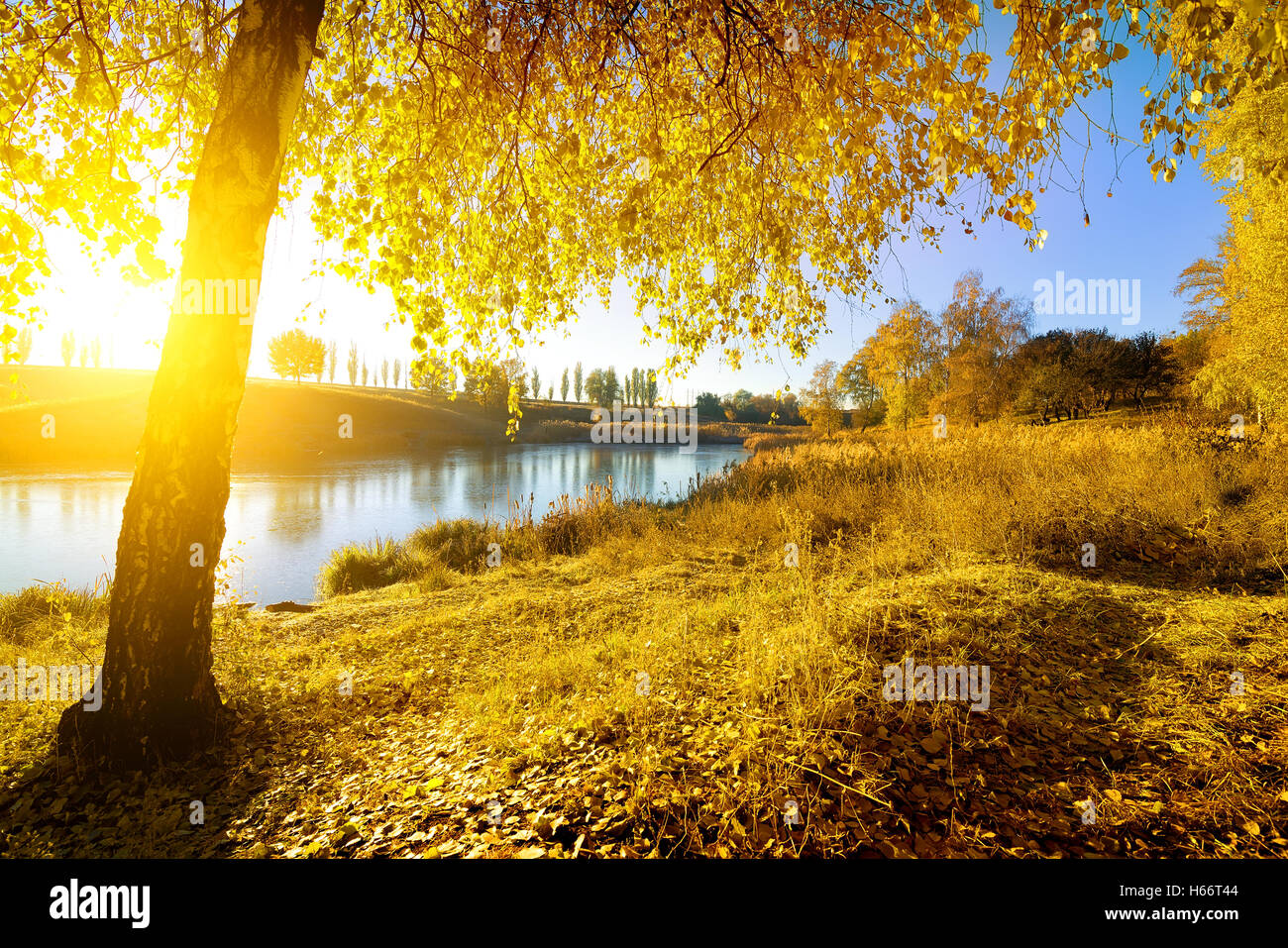 Bunten Herbst am Fluss am sonnigen Morgen Stockfoto