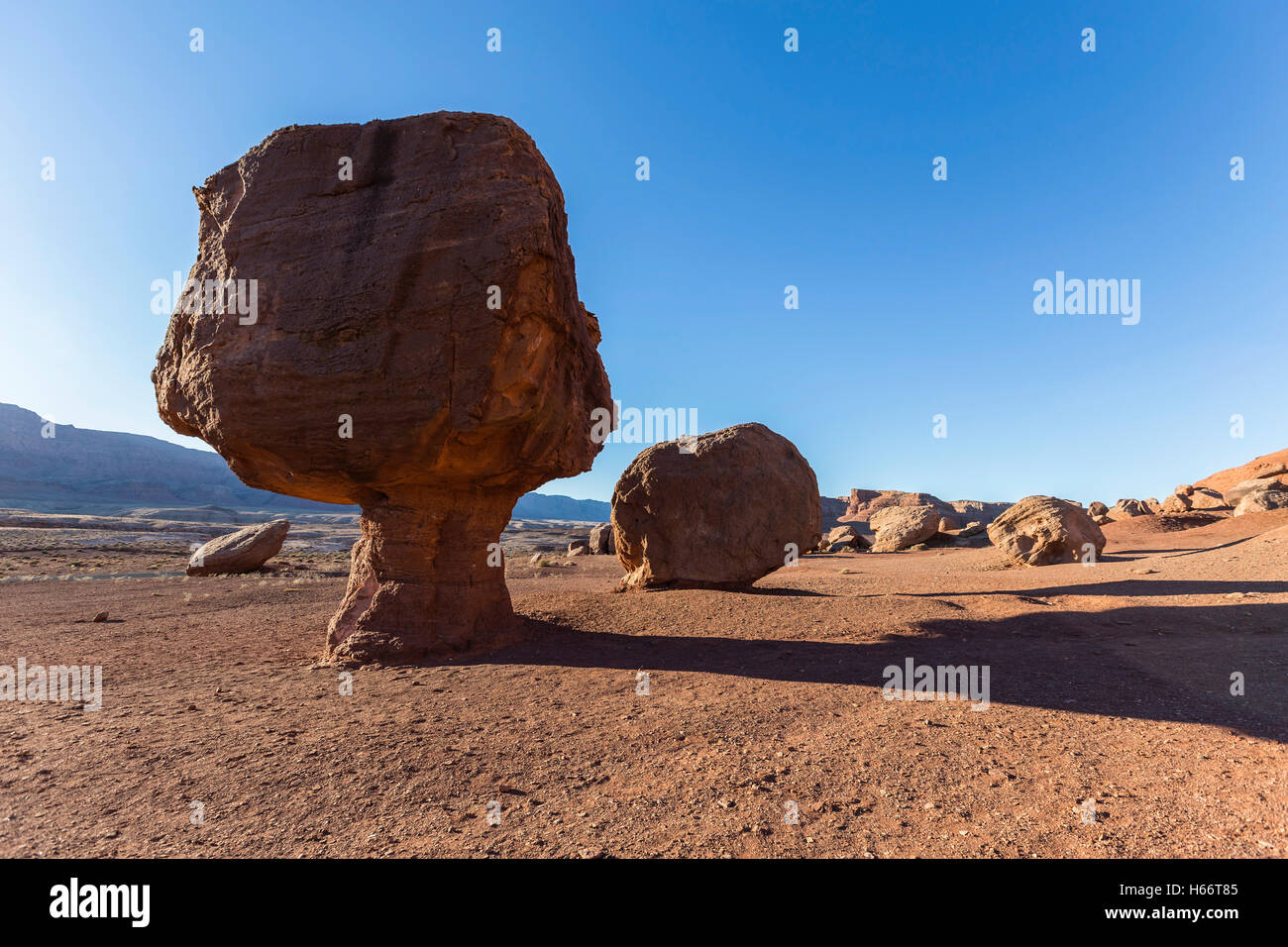 Felsen in der Nähe von Lees Ferry Road am Glen Canyon National Recreation Area im nördlichen Arizona ausgeglichen. Stockfoto