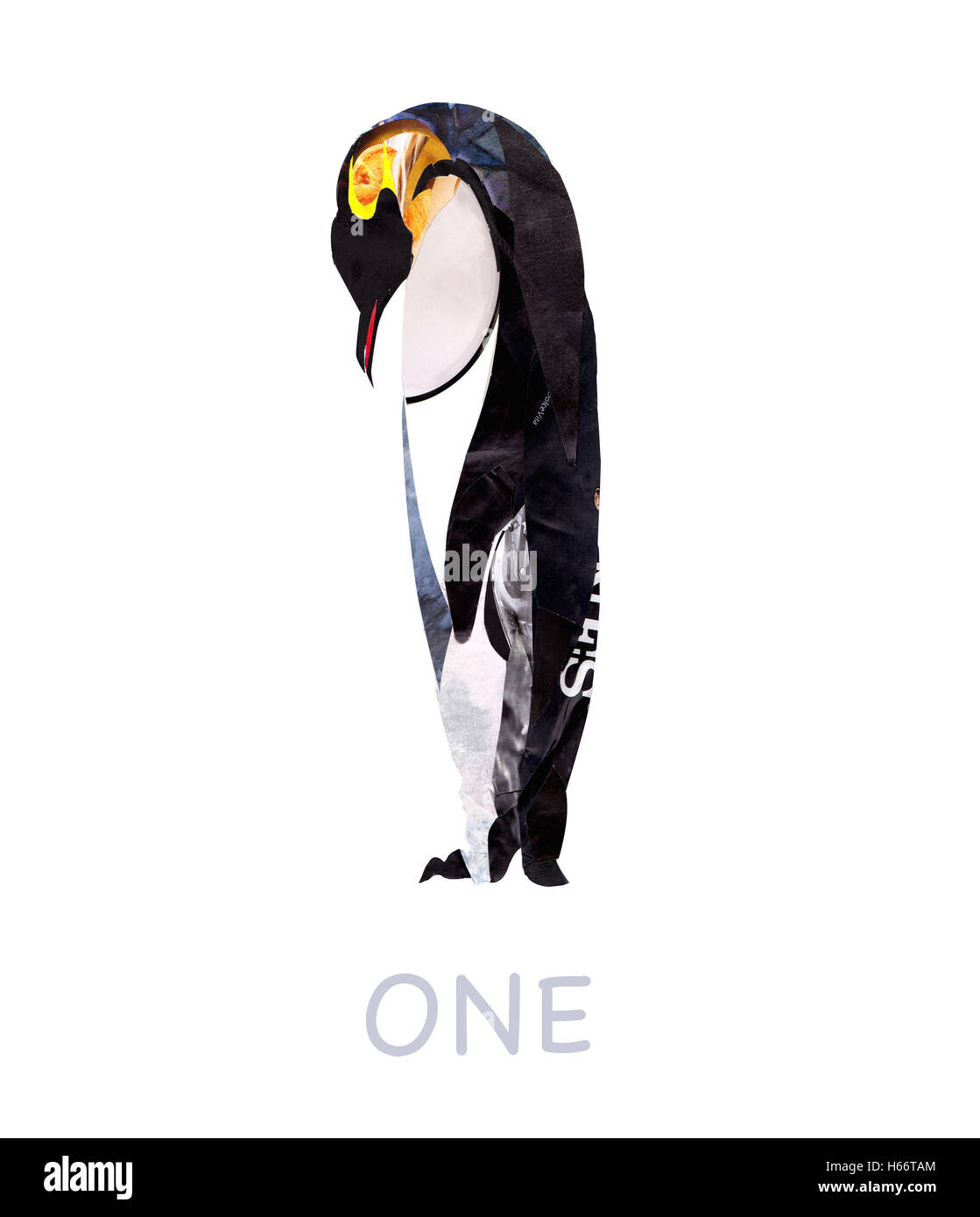 Pinguin vor weißem Hintergrund Stockfoto