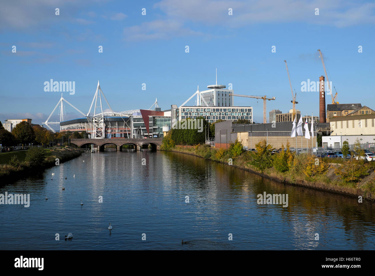 Blick auf den Fluss Taff, Millennium Stadium, Gehirne Brauerei und herbstlichen Stadtbild von Cardiff, Wales UK KATHY DEWITT Stockfoto