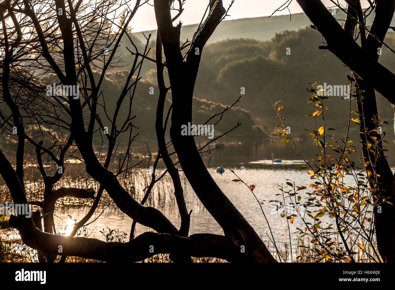 Herbstmorgen Licht am See Shanaghan, Ardara, County Donegal, Irland Stockfoto