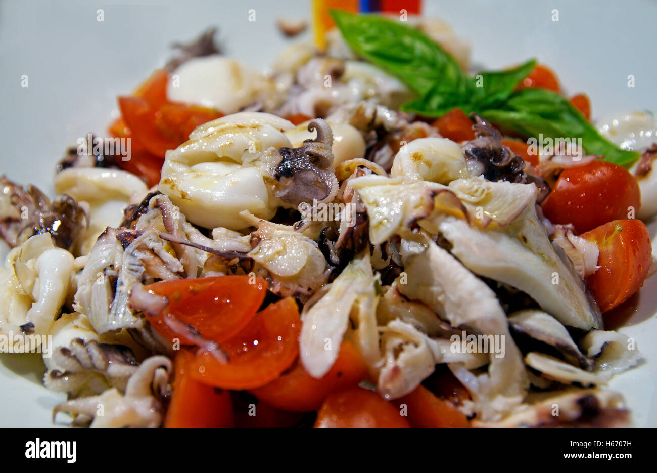 Tintenfische Stockfoto