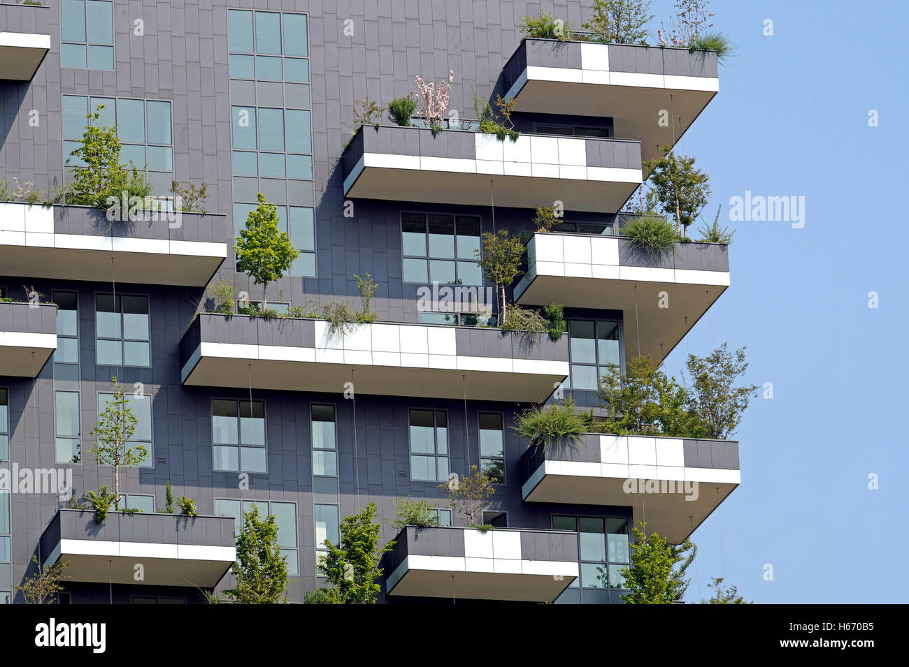 Moderne grüne Gebäude Stockfoto