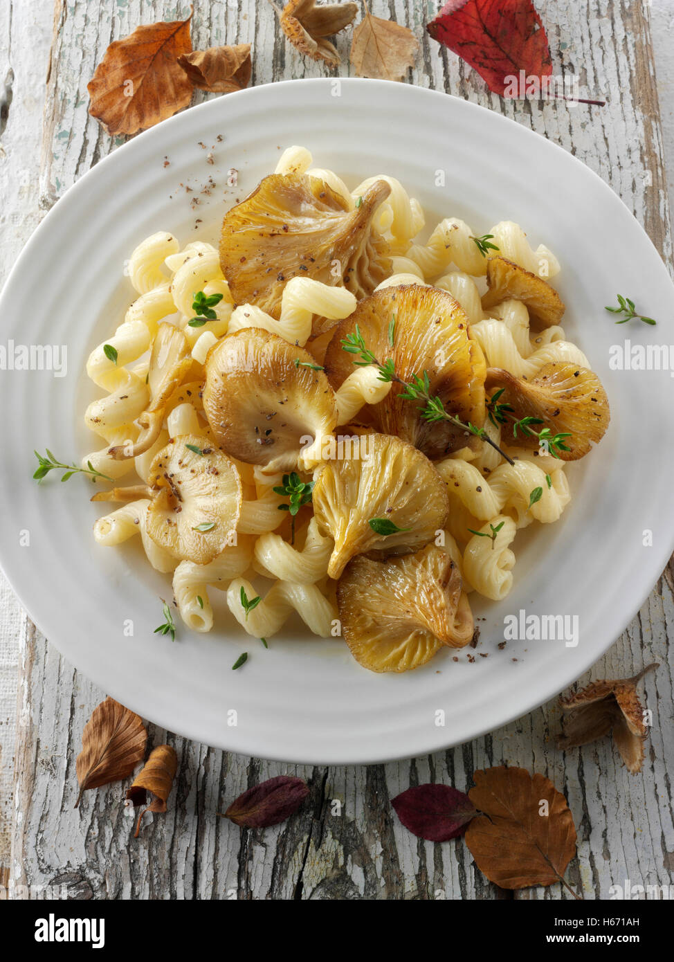 Sautierte gelbe Austernpilz mit Cavatappi Pasta auch bekannt als Cellentani, Amori, Spirali, Tortiglioni oder Fusilli rigati Stockfoto