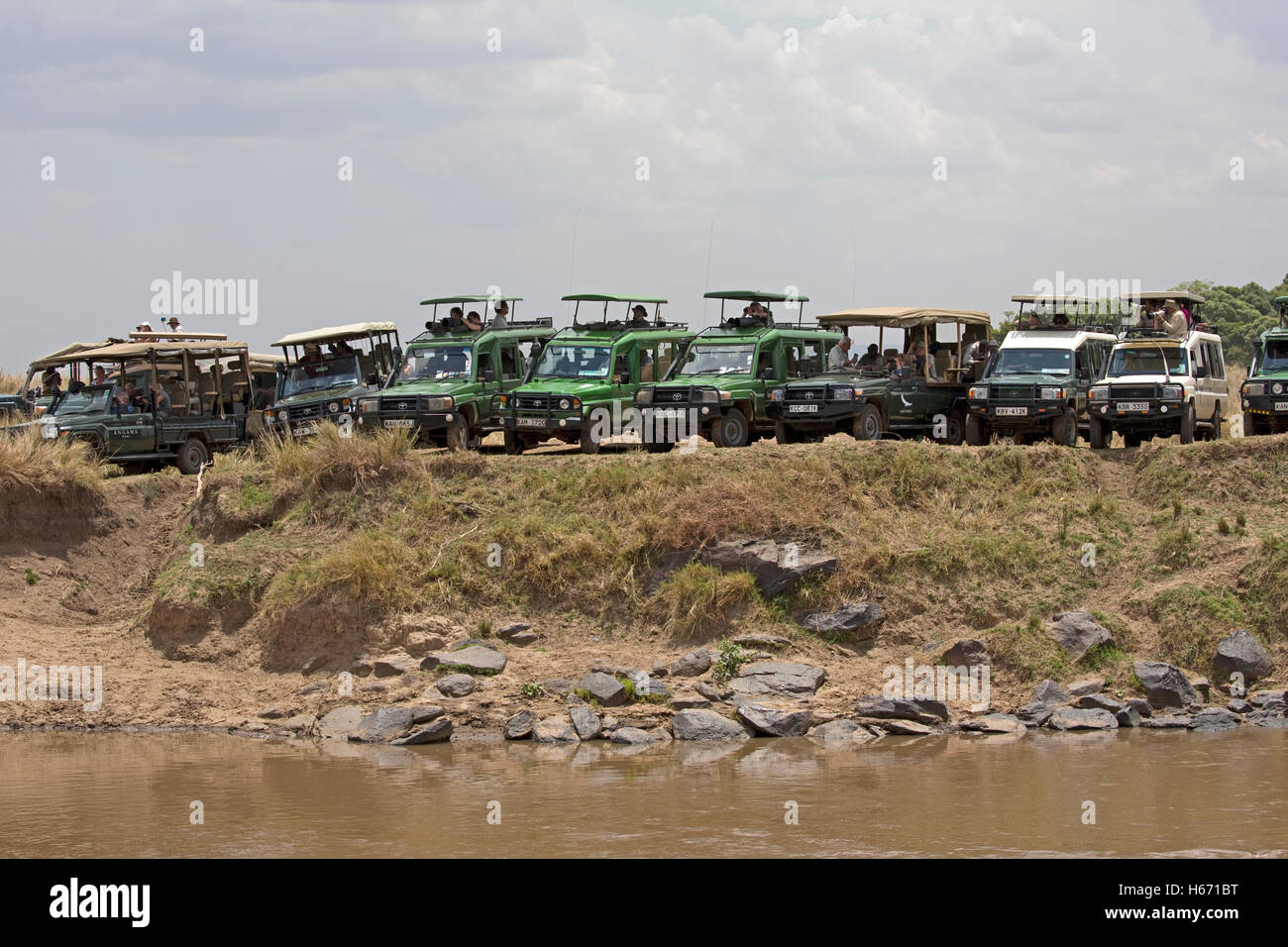 Safari-Fahrzeugen aufgereiht Mara-Fluss, der Gnus zu sehen Masai Mara Kenia Stockfoto