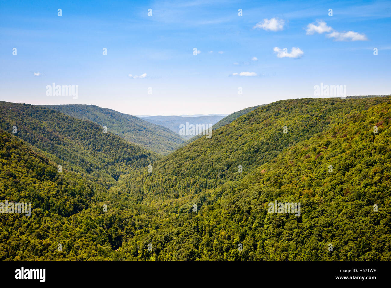 Blackwater Falls State Park Stockfoto