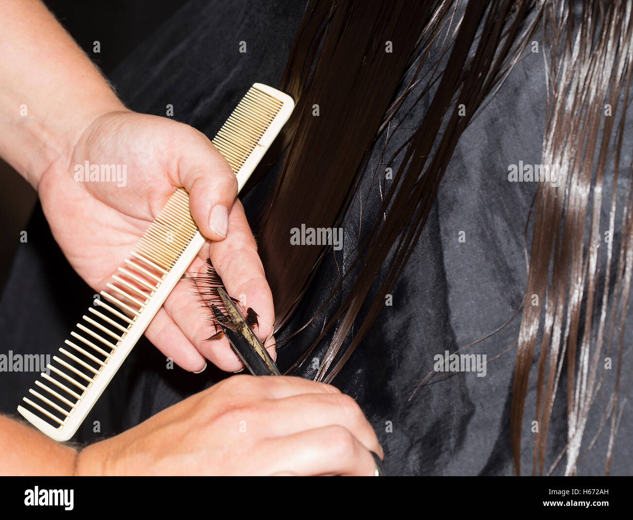 Nahaufnahme der weiblichen Friseur Hände schneiden Haarspitzen. Stockfoto