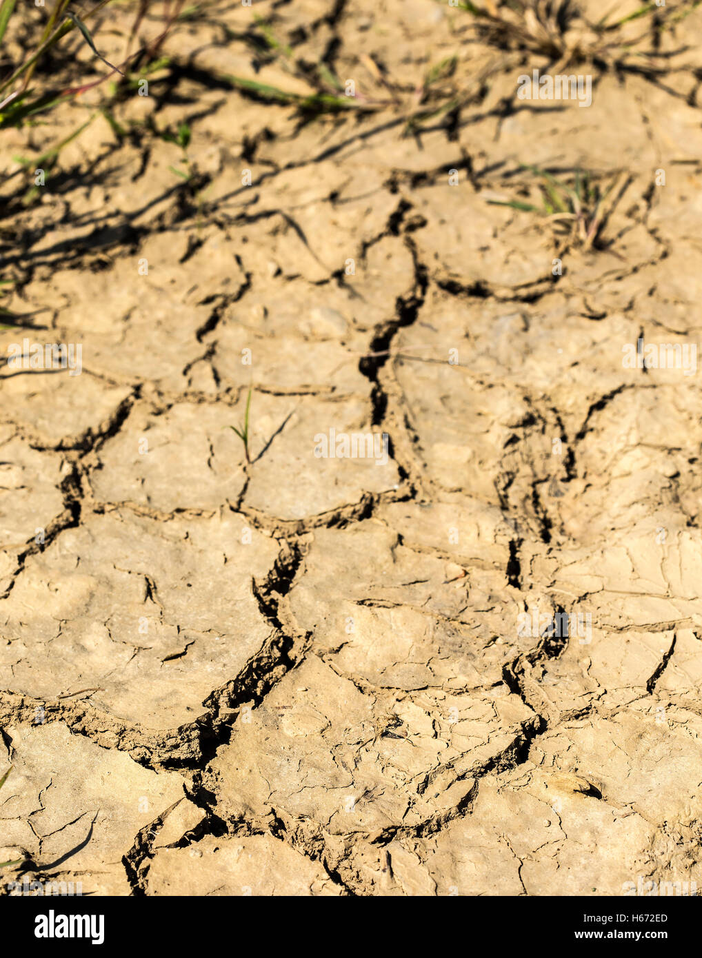 Sehr trockenes Land ohne Regen, Feuchtigkeit bieten. Stockfoto