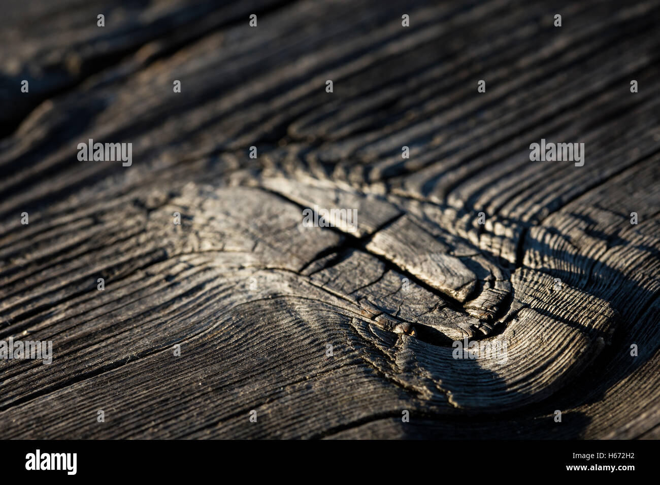 Sehr altes trockenes Holz markieren hautnah. Stockfoto