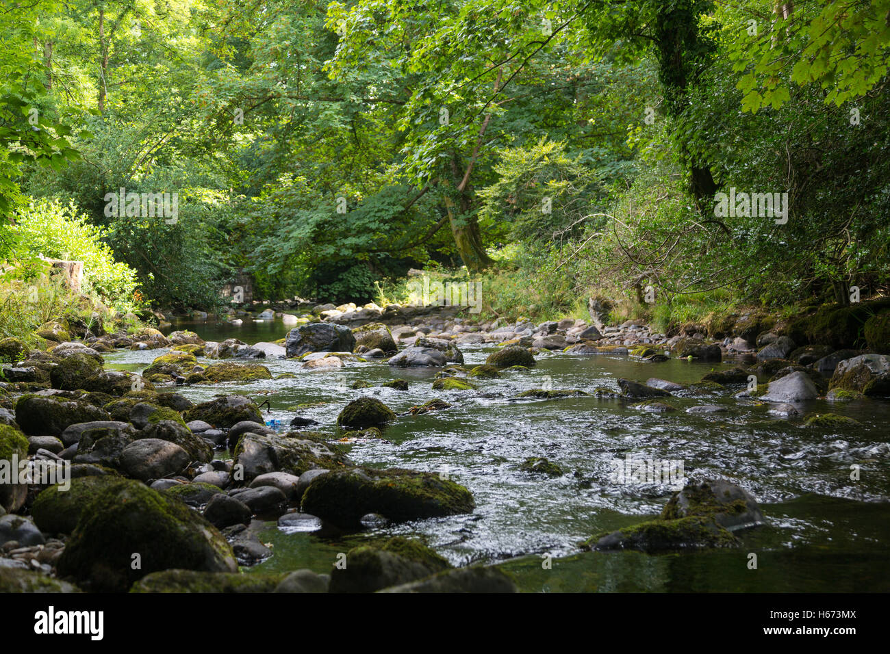 South Brent in Devon Stockfoto