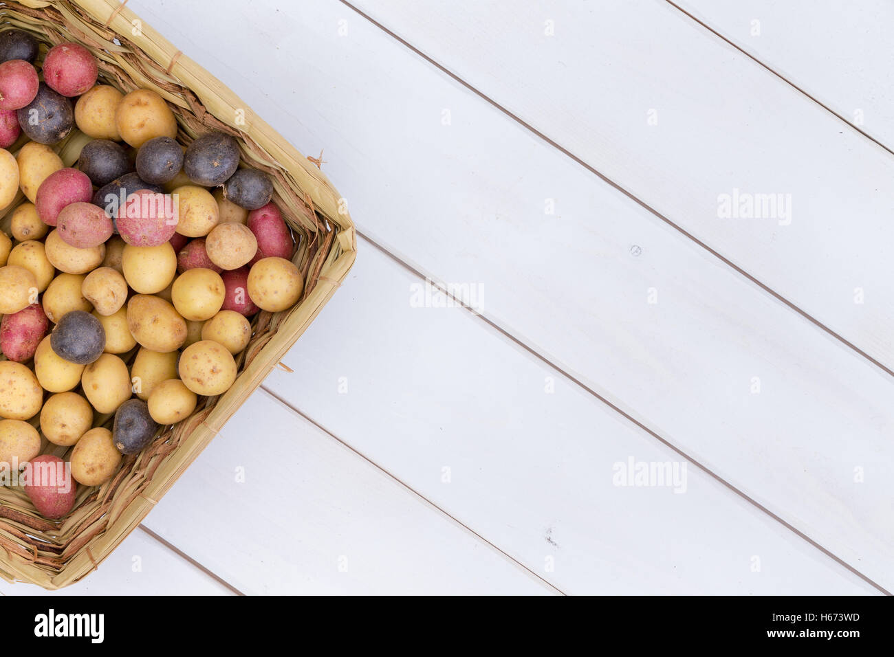 Weidenkorb gefüllt mit sortierten frische Baby Mini Kartoffeln am Bauernmarkt bereit zum Braten oder Kochen in der Schale, ov Stockfoto